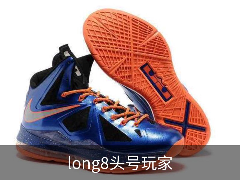 long8头号玩家概况